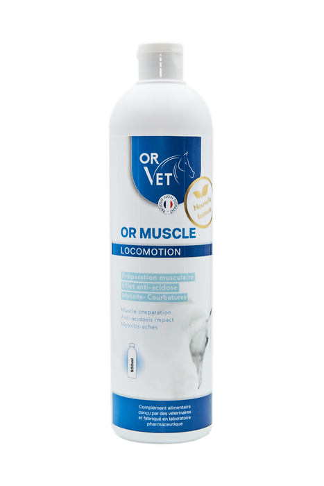 OR-VET - Or Muscle