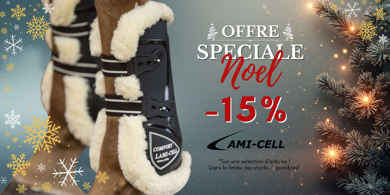 Offre Noel Lamicell