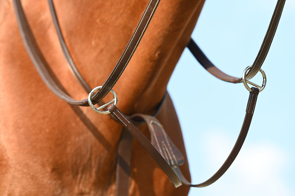 Martingale a anneaux clips pratique. par sellerie Fouilhoux. 