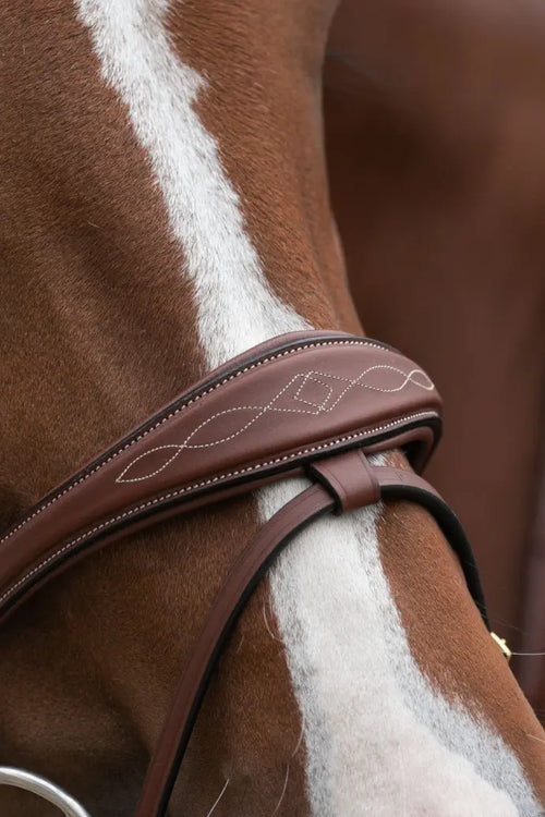 Bridon pour cheval ergonomique par la nouvelle marque HVN. tétière ergonomique, muserolle rembourrée pour répartir les pressions et pour un meilleur confort du cheval. noseband amovible. cuir avec surpiqure élégante. 