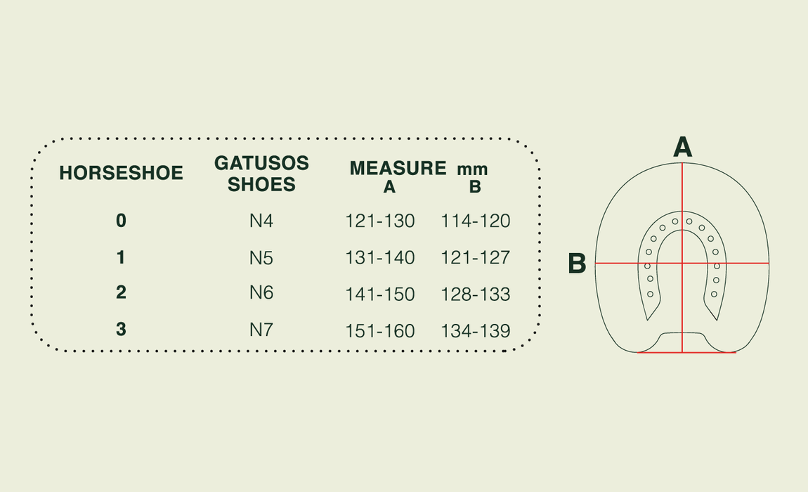 guide des tailles des hipposandales Gatusos. 