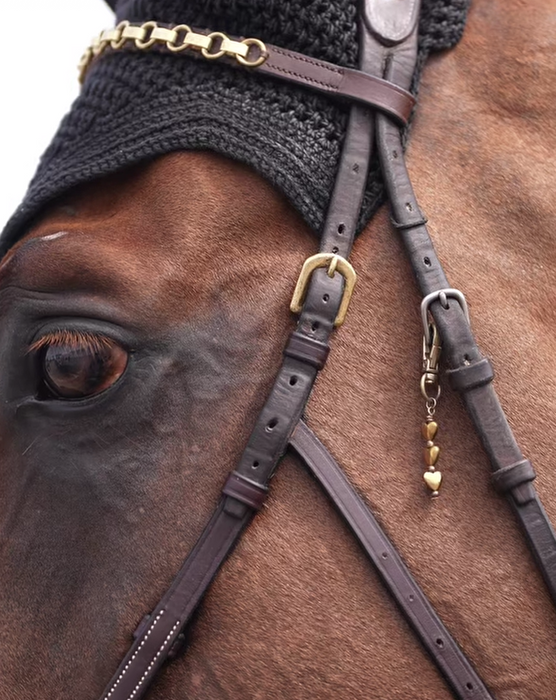 FOUILHOUX - Frontal chaine