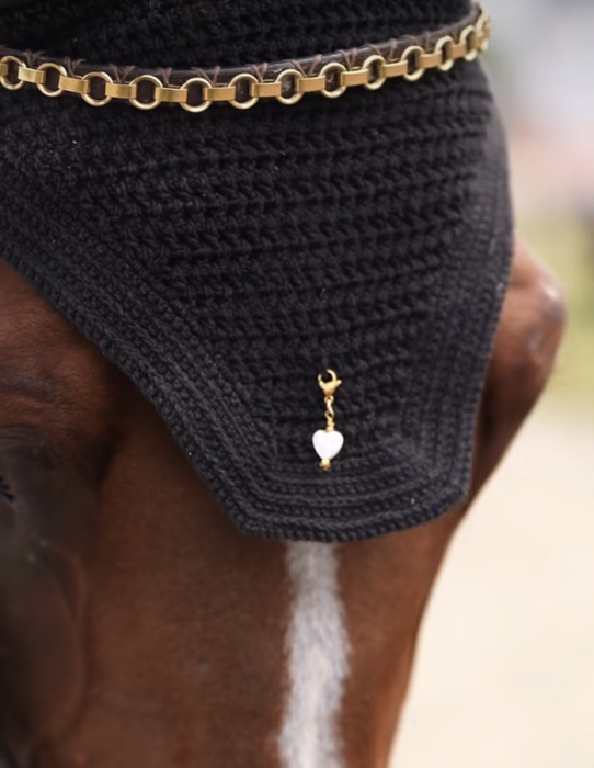 FOUILHOUX - Frontal chaine