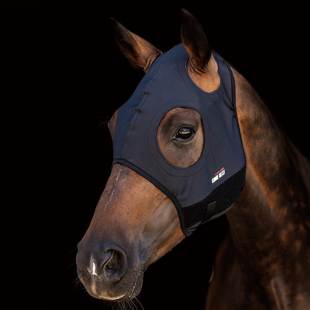 Masque anti stress pour chevaux anxieux en compétition. Modèle Titanium Come Best de Lami-Cell. Sans oreilles. Vendu par Fouilhoux Fontainebleau 