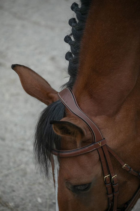 Bridon pour cheval ergonomique par la nouvelle marque HVN. tetière ergonomique. vendu par fouilhoux Fontainebleau. 