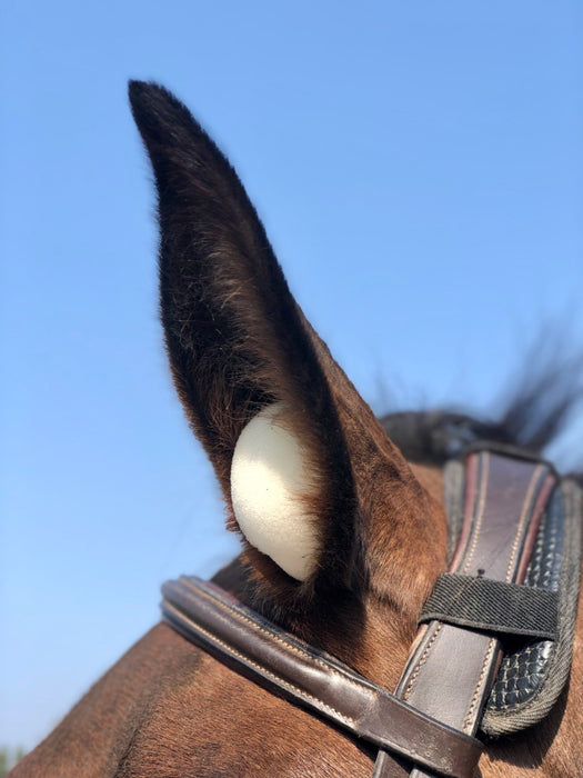 Bouchon anti bruit oreille cheval - Le Paturon