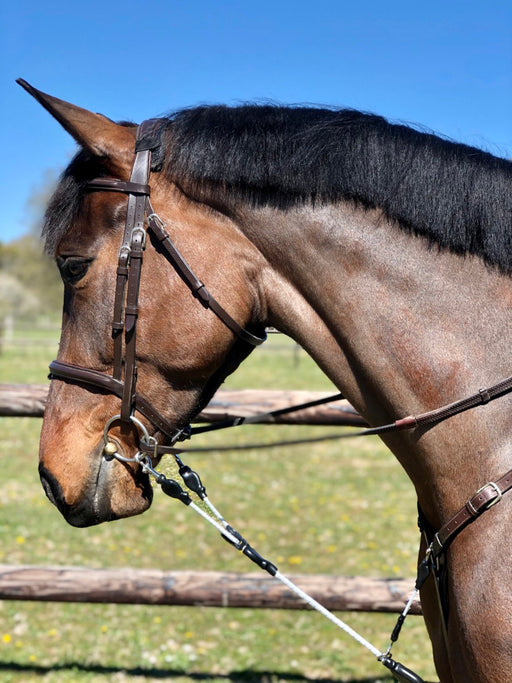 Rein Rite Cheval - Enrennement - Autres Enrennements — Fouilhoux