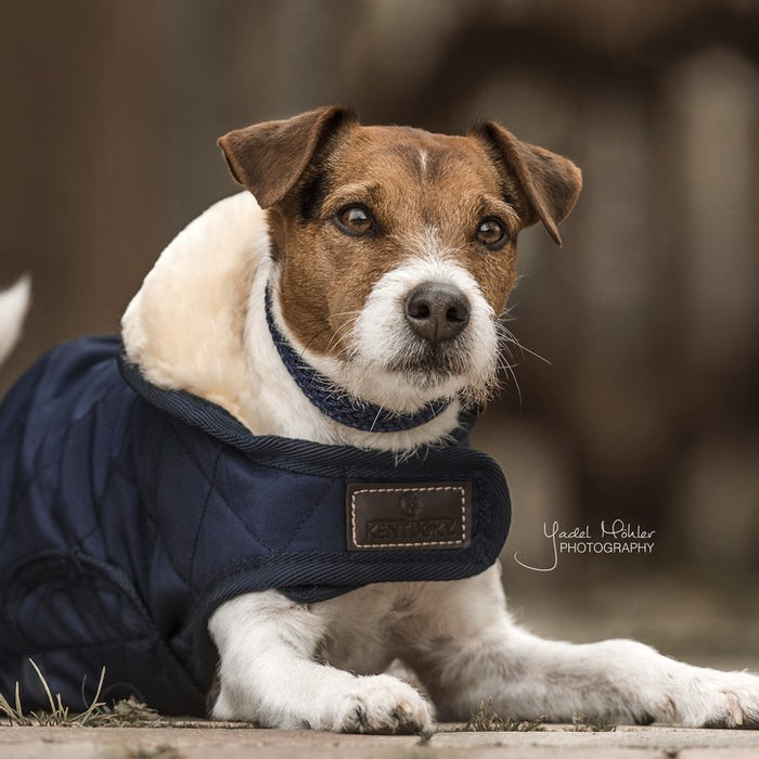 KENTUCKY - Dog Coat