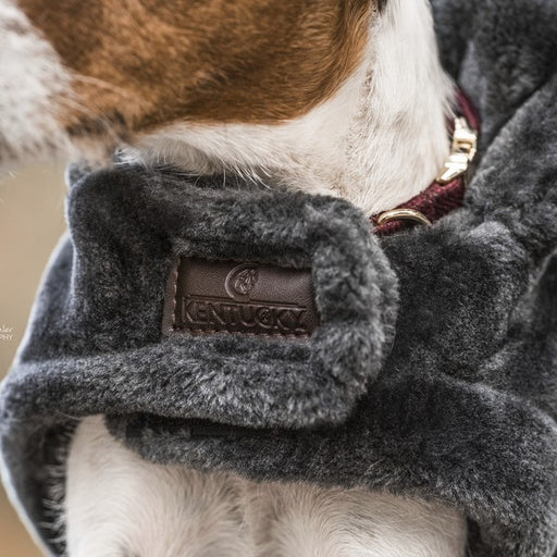 KENTUCKY - Manteau pour chien Fake Fur