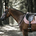 Belle couleur rose pale pour ce tapis Kentucky rose poudré, taille cheval, coupe CSO