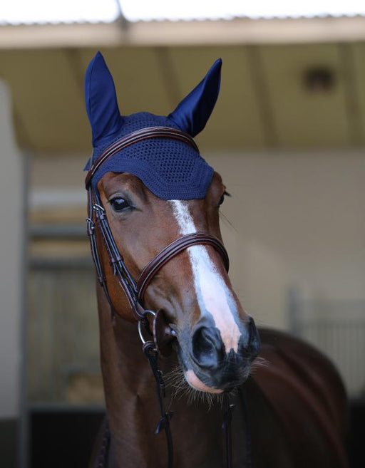 KENTUCKY- Bonnet Wellington bleu marine. simple et élégant